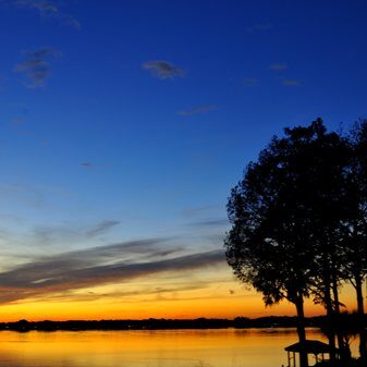 communitie31 communitie31